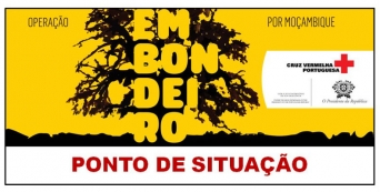 Ponto de situação n.º 81 - Moçambique